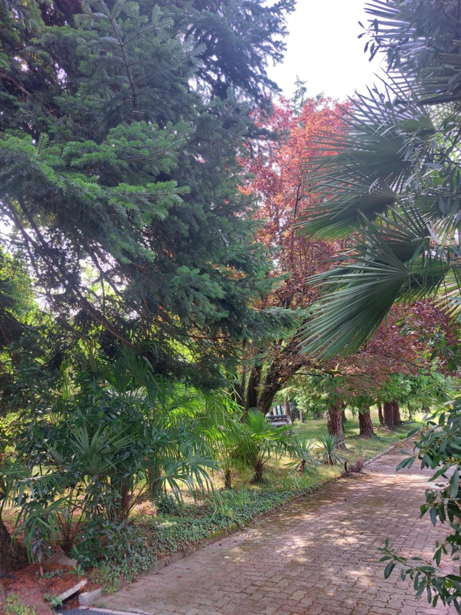 CastellamonteCasamargo公寓 外观 照片